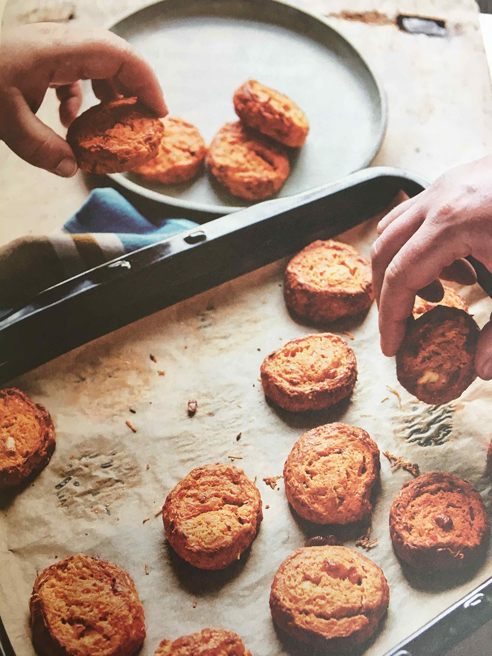 Harissa and Goats Cheese Buns